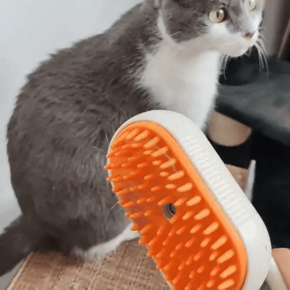 Cepillo a vapor para mascotas